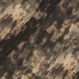 Bark-Background.jpg