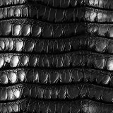 Black Armadillo Leather