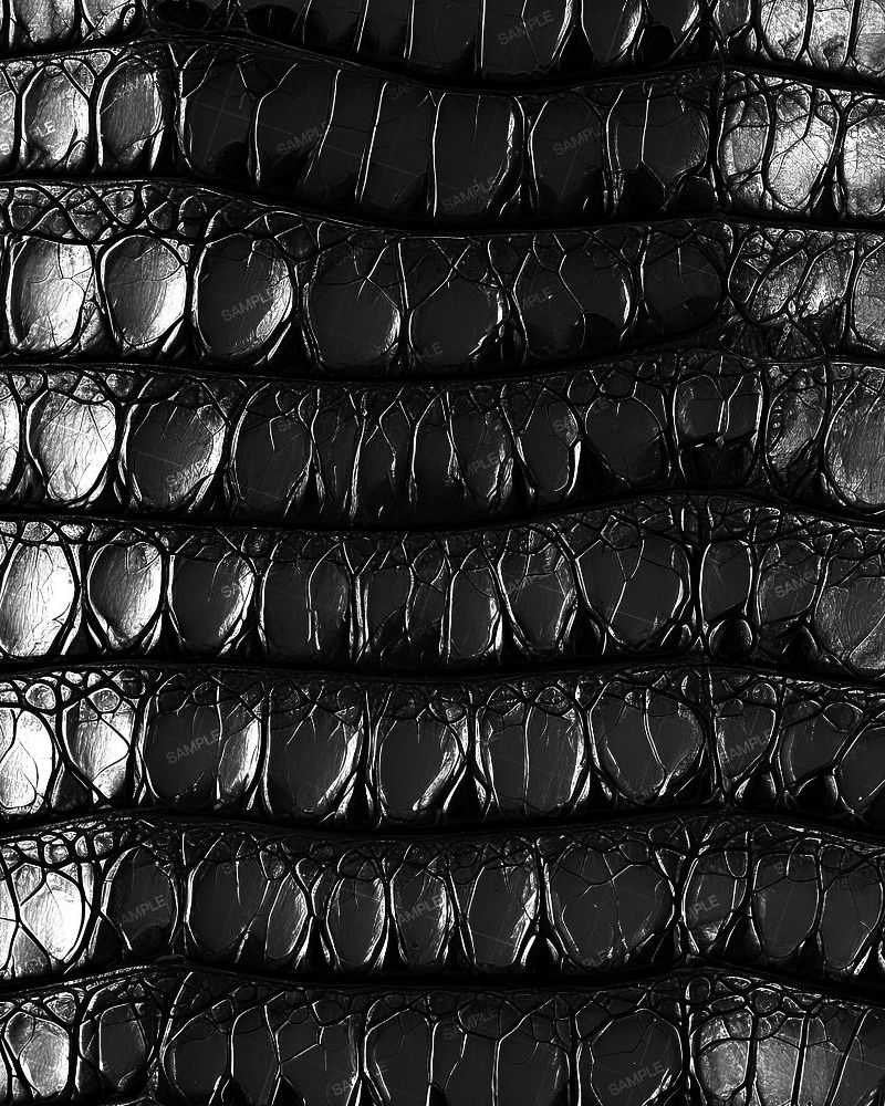 Black Armadillo Leather