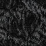 Black-Fur-42.jpg