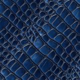 Blue Nile Crocodile