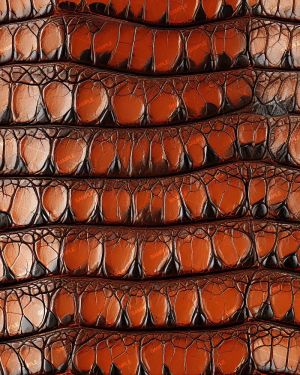 Brown Armadillo Leather