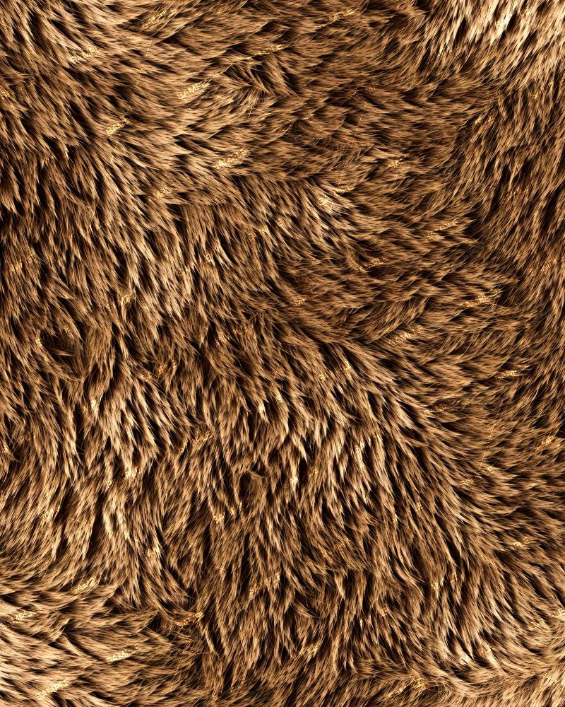 Brown Bear Fur 46