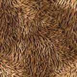 Brown-Bear-Fur-46.jpg