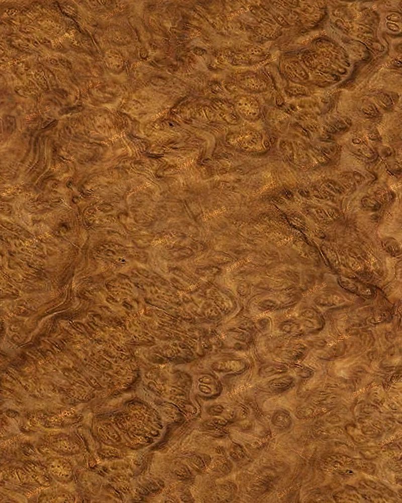 Brown Mallee Burl