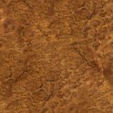 Brown-Mallee-Burl.jpg