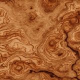 Burl-Woodgrain-48.jpg