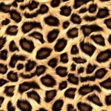 Cheetah Fur 44