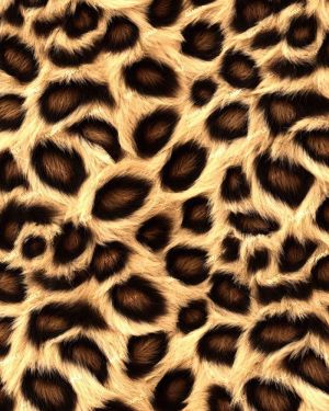 Cheetah Fur 44