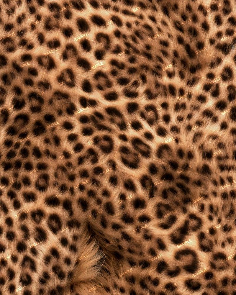 Cheetah Fur 49