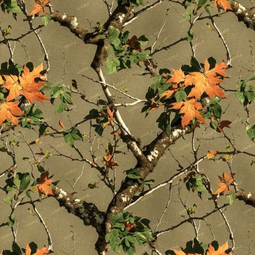 Chinese Camouflage 23