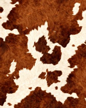 Cowhide 50