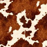 Cowhide-50.jpg