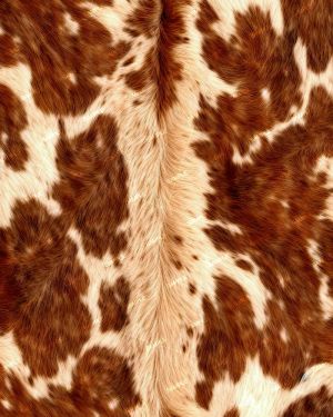Cowhide 55