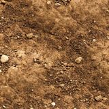 Dirt-Right-There.jpg