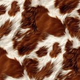 Highland Cow Fur 46