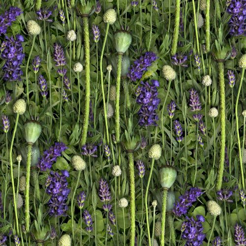 Lavender and Poppy Pods