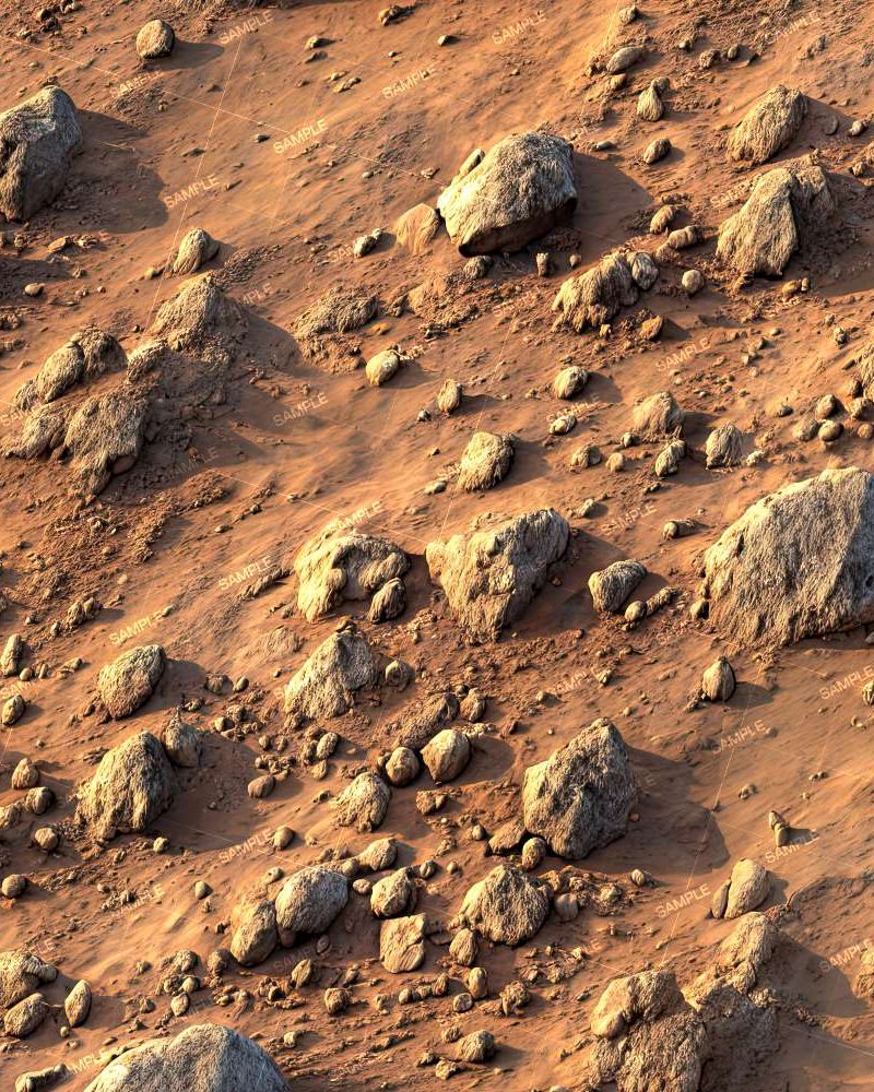 Martian Surface 42
