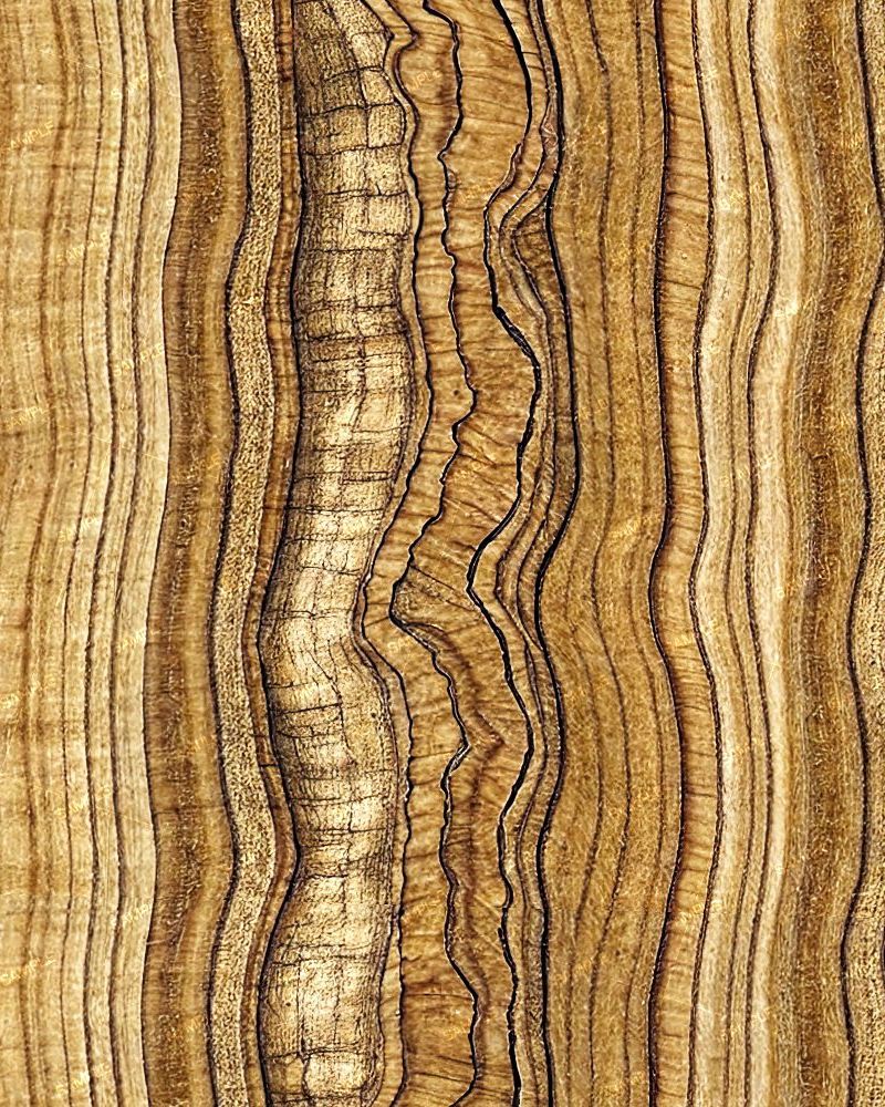 Paldao Wood Veneer 43