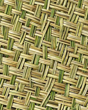 Palm Leaf Rattan 44