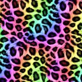 Rainbow-Cheetah-Fur.jpg