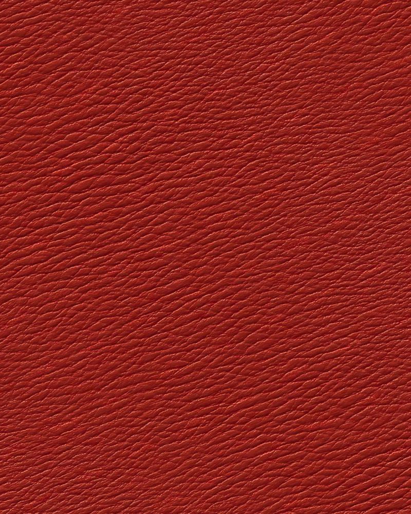 Red Leather 44