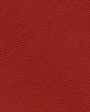 Red Leather 44
