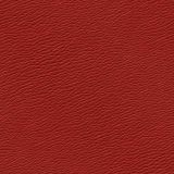 Red-Leather-44.jpg
