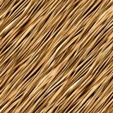 Reeds-48.jpg