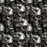 Silver-Skulls-41.jpg