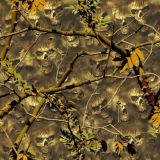 Skull-Camo-21.jpg