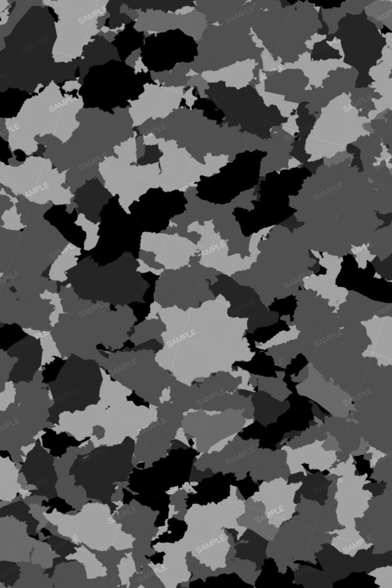 Steam 228th Black Skulls Corps Camouflage