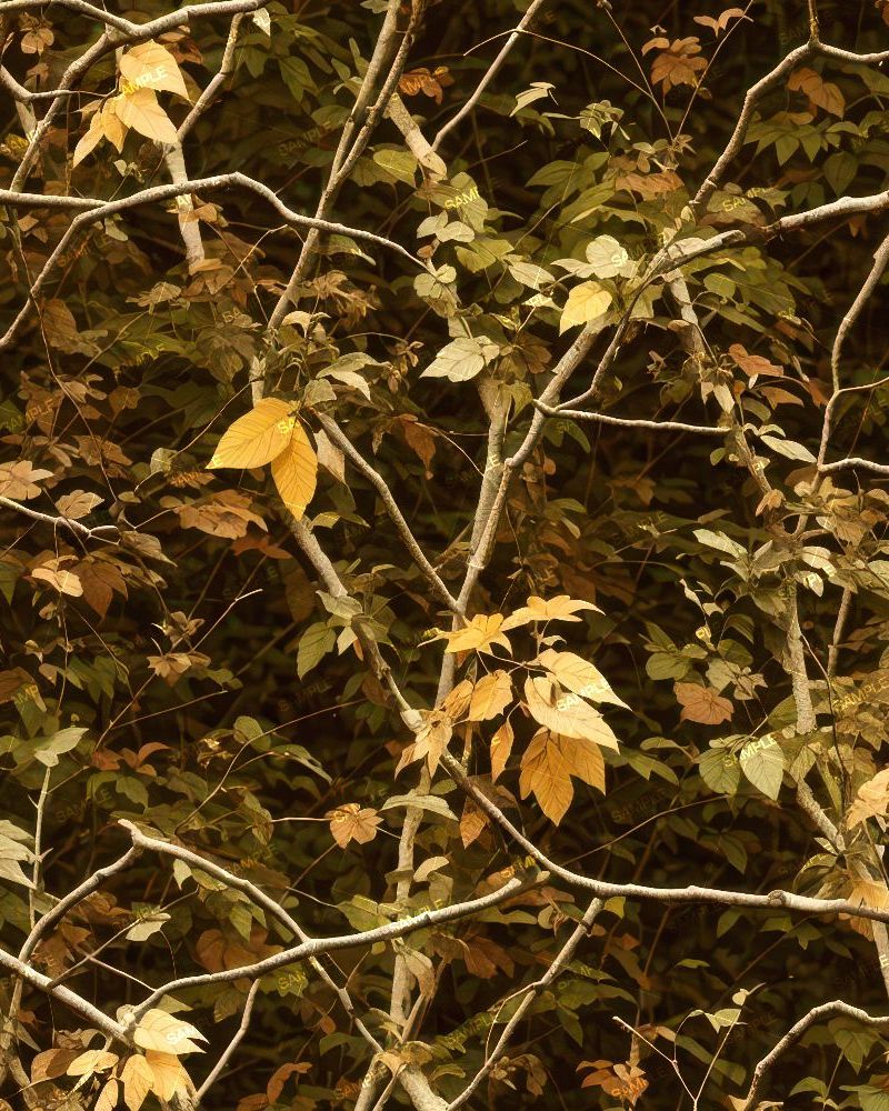 Tactical Camouflage 297