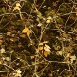 Tactical-Camo-297.jpg