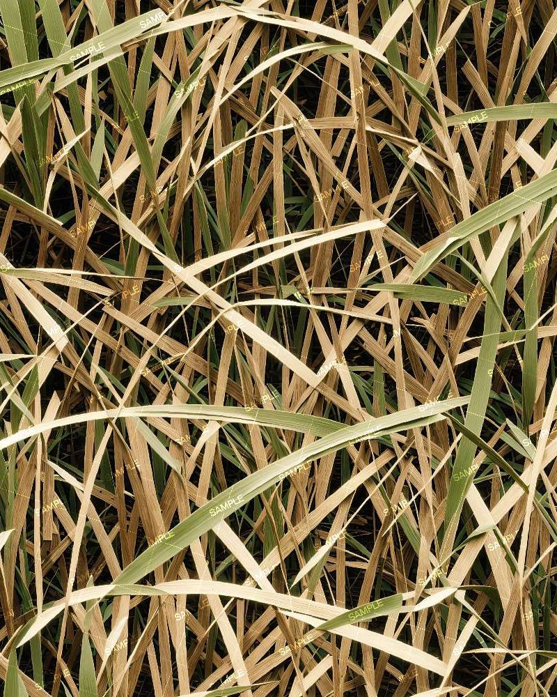 Tactical Camouflage 300
