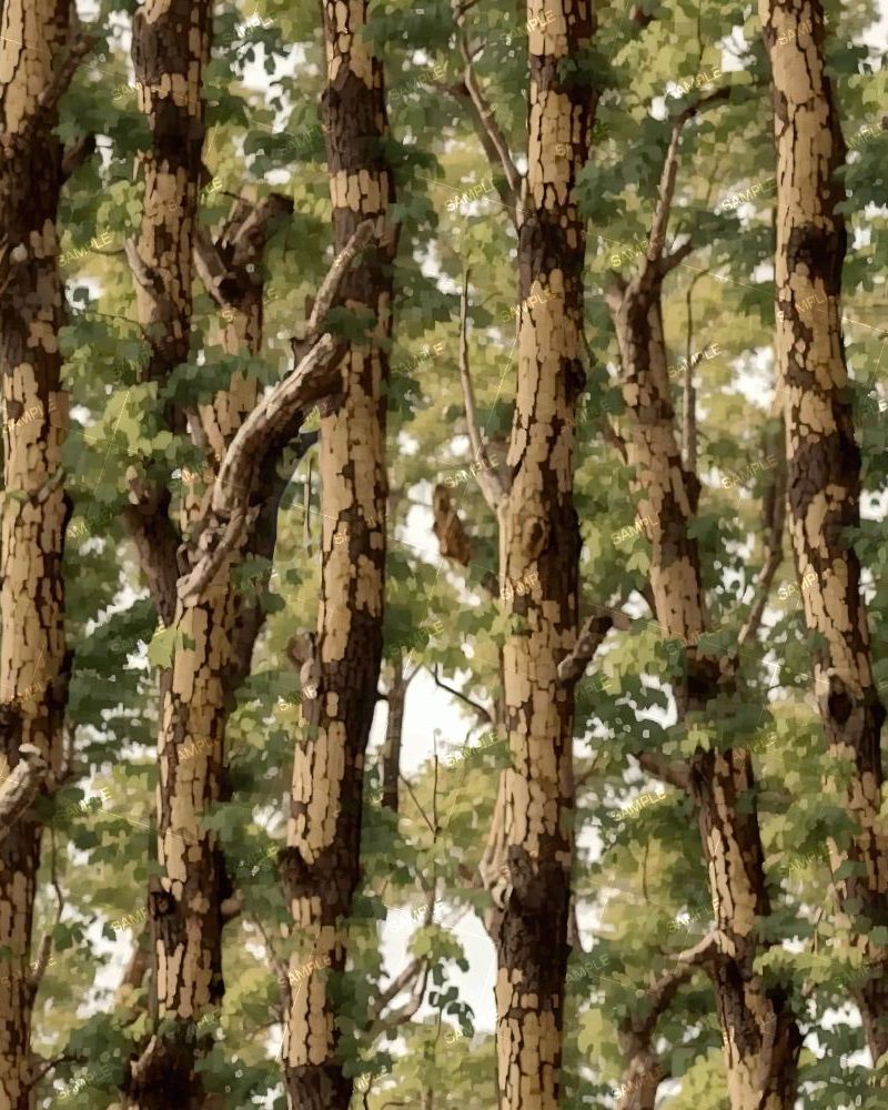 Tactical Camouflage 301