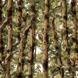Tactical-Camo-301.jpg