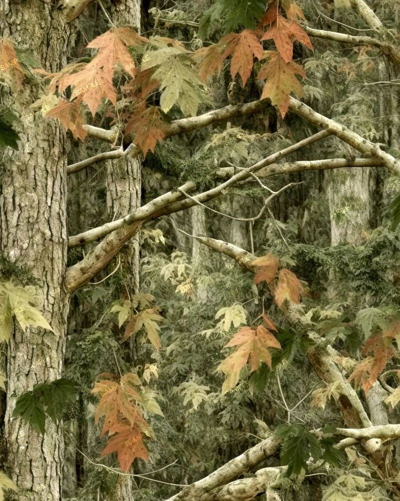 Tactical Camouflage 303