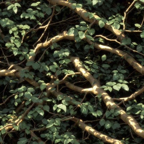 Tactical Camouflage 304