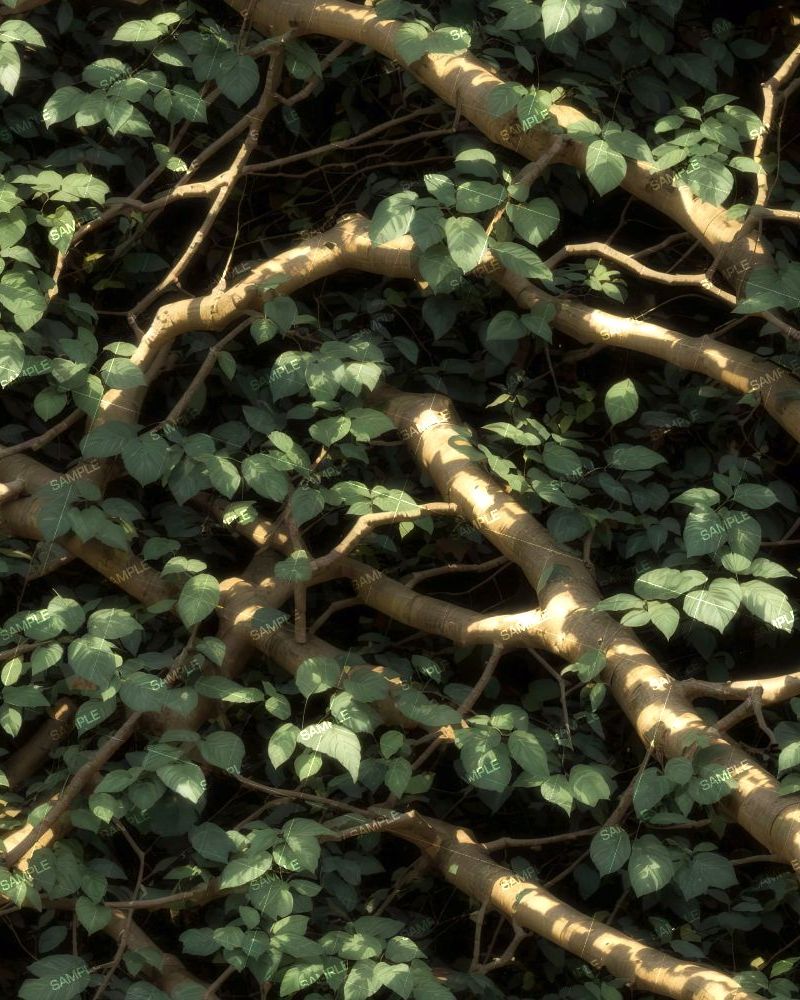 Tactical Camouflage 304
