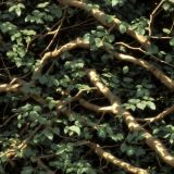 Tactical-Camo-304.jpg