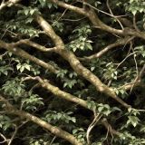 Tactical-Camo-305.jpg