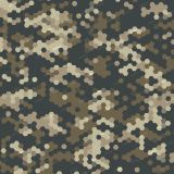 Tactical-Camo-61.jpg