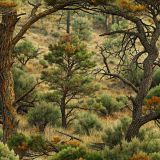 Texas-Backcountry-Camo-47.jpg