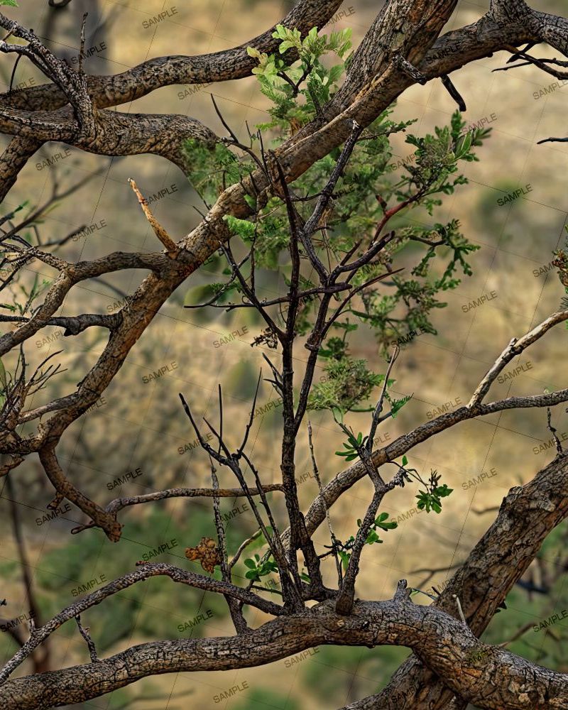 Texas Backcountry Camouflage 48