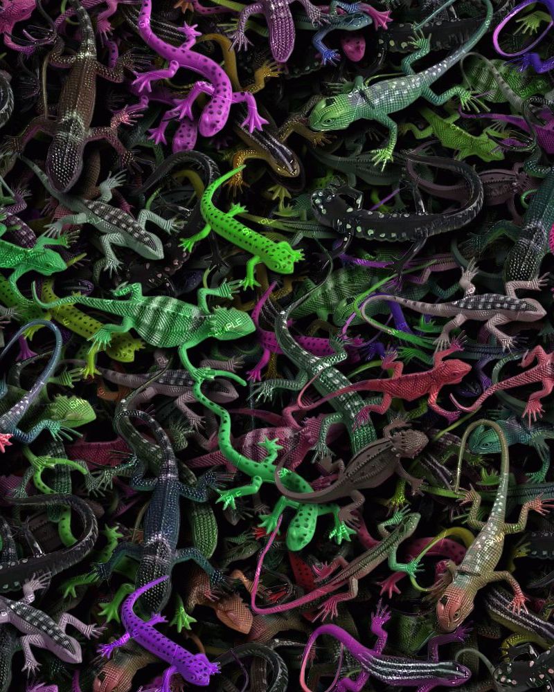 Toy Lizards
