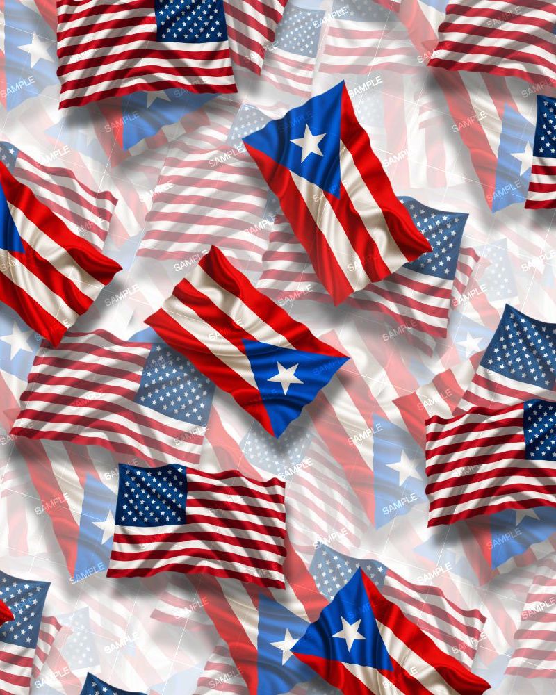 US and Puerto Rico Flags 23