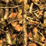 Autumn-Camo-46.jpg