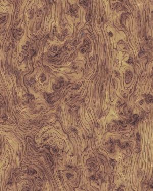 Burl Woodgrain 51
