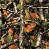 China Tree Camouflage 53